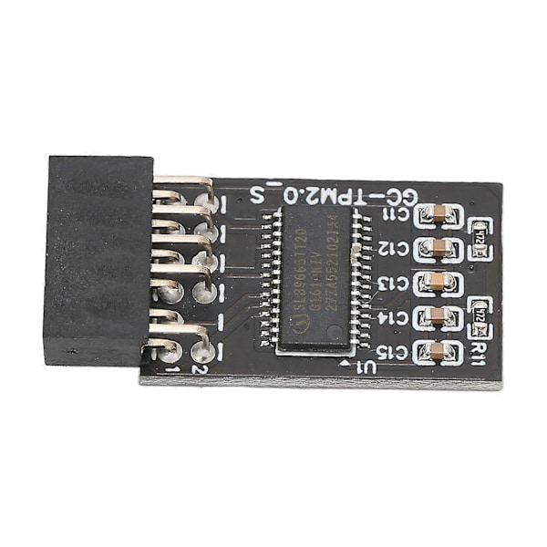 TPM 2.0 Krypterings Säkerhetsmodul för GIGABYTE 12-stifts LPC-gränssnitt Hög Säkerhet Fjärrkort Krypterings Säkerhetsmodul