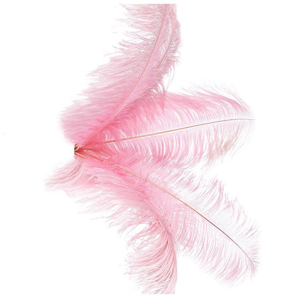 20 stk. Naturlige Strudsefjer Bryllup Fest Dekoration Pink 20-25cm