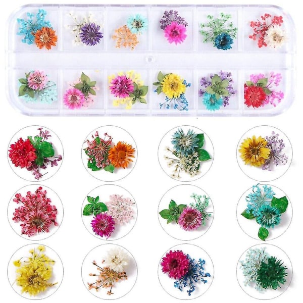 2 laatikkoa Nail Art kuivattuja kukkia 24 väriä kuivakukkia Mini Real Natural Flowers Nail Art Supplies 3D applikoitu kynsien koristelu