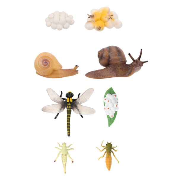 8 stk Livscyklus for snegl Dragonfly Dyrefigurer Vækstmodel Skovdyrsfigurer Pædagogisk