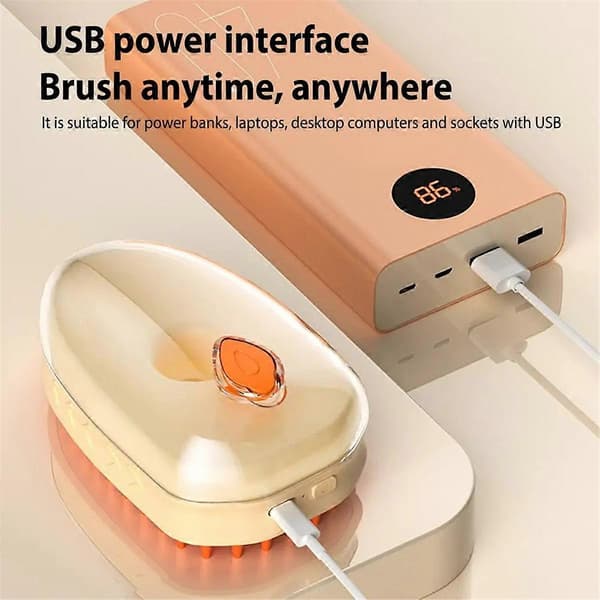 Steamy Pet Brush Steamy Selvrensende Røytebørste A