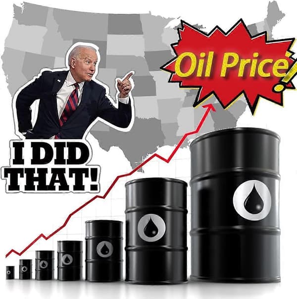 100 Jeg Gjorde Det Biden Klistremerker