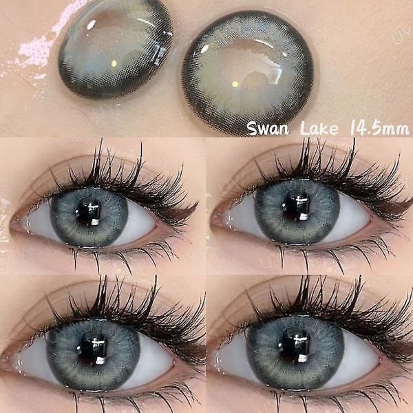 Utsökt 1 par Myopia-linser Färgkontaktlinser för ögon Receptbelagda grå  koreanska linser Bruna naturliga linser med dioptrier Swan Lake f374 | Swan  Lake | Fyndiq