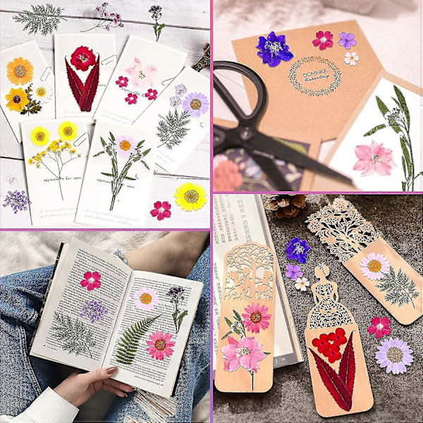 90 stk. Ægte Tørrede Pressede Blomster, Tørre Pressede Blomster Til Resin Naturlige Pressede Blomsterblade Farverige Tørrede Pressede Blomster Til DIY Håndværk Lys J