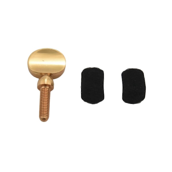 119 Delar/Set Saxofon Reparationsdelar Skruvar + Saxofon Fjädrar Kit DIY Verktyg Blåsinstrument A s202412121398