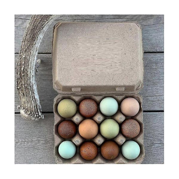 30 stk Vintage Blanke Eggkartonger - Klassisk 3x4 Stil Rommer 12 Egg, Solid Design Laget av Gjenbrukt