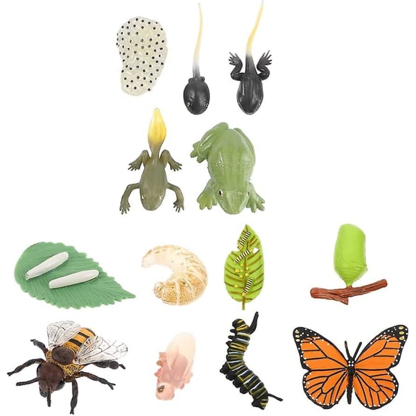 3 sarjaa hyönteisfiguurit perhossammakon elinkaari Safariologian kasvusyklin malli Bugfiguurit Opetuslelu lapsille taaperoille Monivärinen (13 kpl)