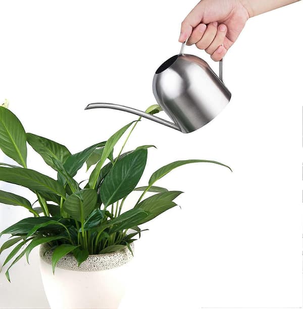 Lille indendørs vandkande til stueplanter, rustfrit stål, lang vandkande (975 ml / 1 liter)