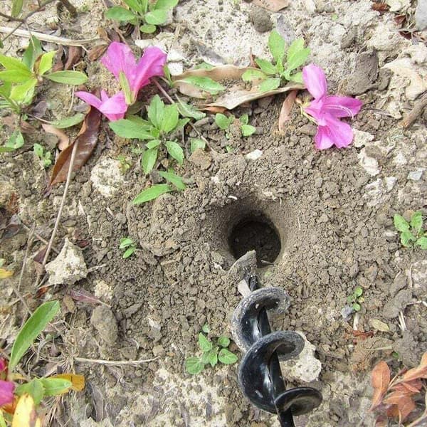 Jordbor til håndboremaskine - Jordfræserbor. Haveplanter. Blomstrende planter