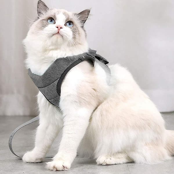 Kattsele, Kattsele med koppel, Valpsele, Justerbar bröstsele
