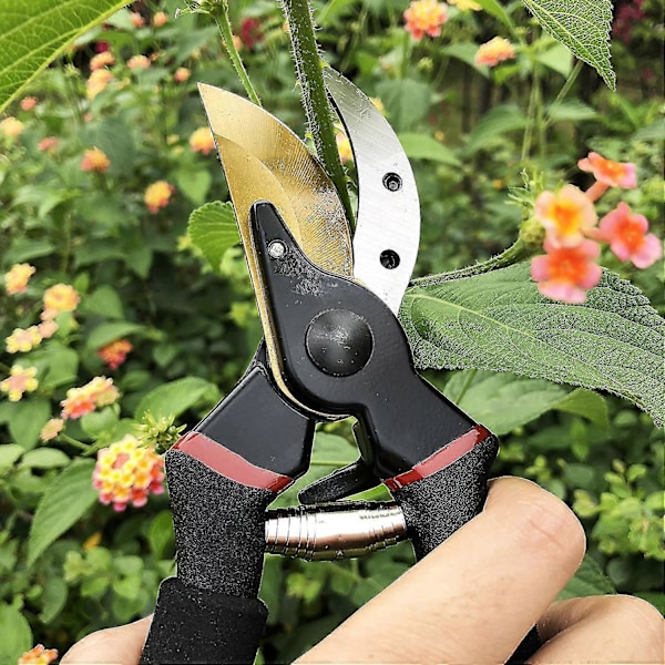 Kukkasakset kuivan puun leikkaamiseen. Ergonomiset kahvat