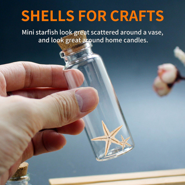 Small Starfish Star Sea Shell Beach Craft 0,4 tommer-1,2 tommer 90 stk