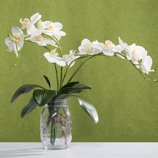 Phalaenopsis-orkideoiden keinotekoiset lehdet, luonnollisen näköiset juuret, lateksipinnoitetut, vihreät, keinotekoiset lehdet