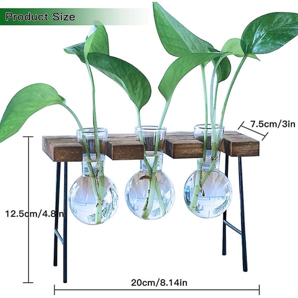 Stationär växtterrarium med trästativ 3 lökarvaser Glaskruka för växter Hemmaträdgård Kontor