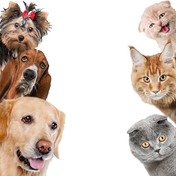 Väggdekal Katt Hund för Barnrum