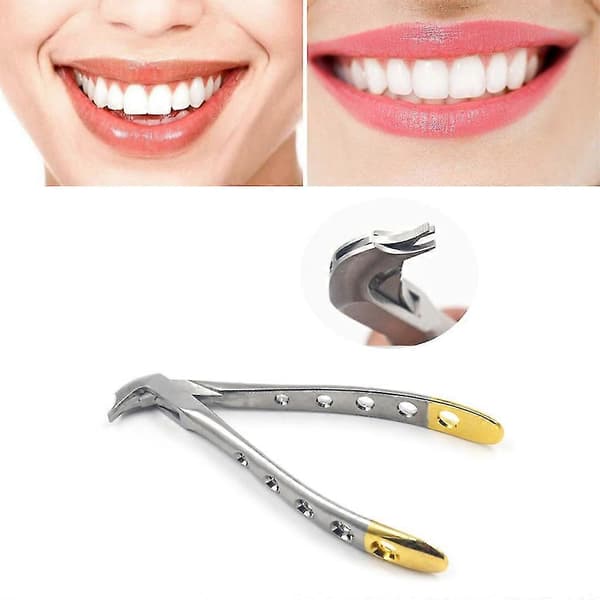 Genanvendelig Dental Krone Spreder Tang Rustfrit Stål Kronefjerner Tang Næb-XinHan