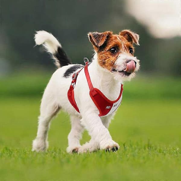 Farvematchende kæledyrs brystryg tøj åndbart hunde- og kattetøj kæledyrstøj