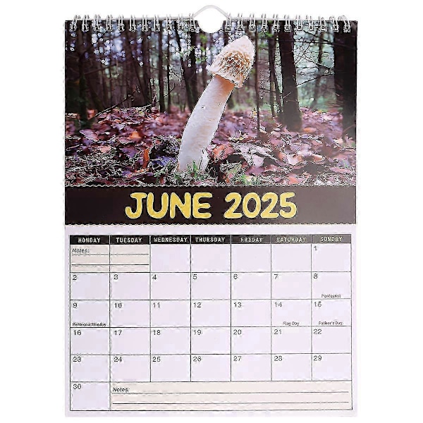 WJTG Verdens Beste Sopp Kalender 2025 Bringer Glede & Holder Deg Organisert 2025 - Perfekt som Gave JulegaverJ