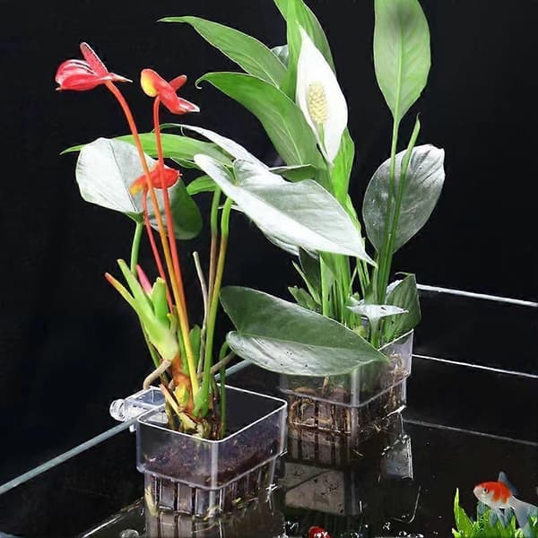 Akvarium Hydroponisk Planteringskopp Hushållsvattenväxtkopp Akrylkopp Fisktank Landskapsdesign
