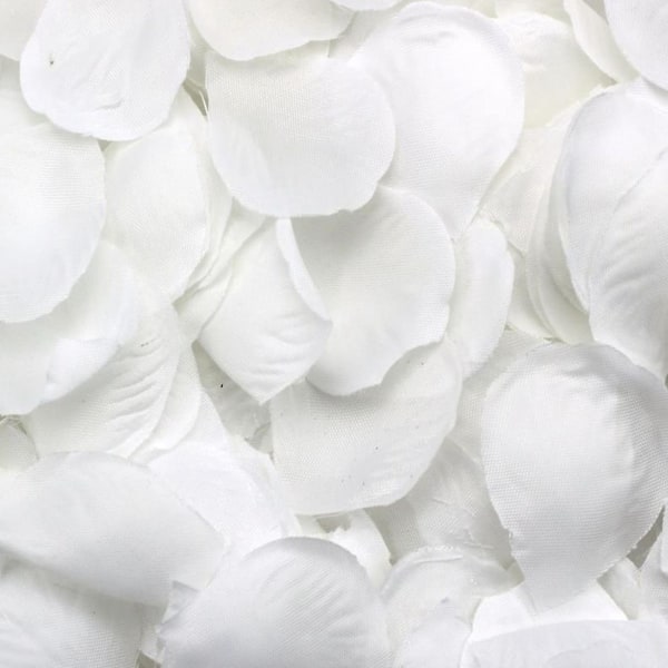 1500 terälehteä hajallaan valkoinen koriste hääjuhla