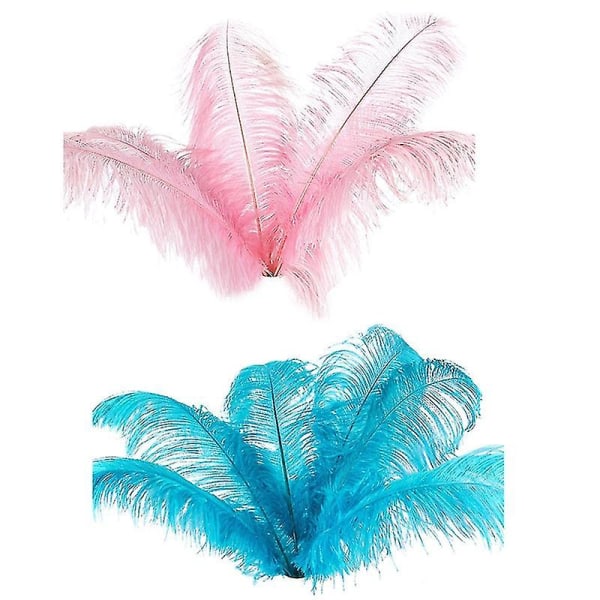 20 Pcs Natural Ostrich Feathers Wedding Party Decoration Lake 20-25cm Blue & Pink