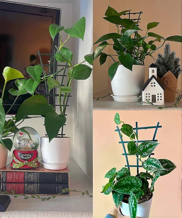 4 st Mini Växtstöd Trädgårdsstöd för Klätterväxter Utomhus Plast Stapelbara Krukväxtstöd