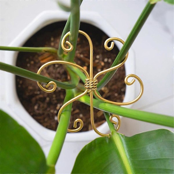 5 st Monstera Växtstödsystem, Krokstamstöd för Hälsosam Tillväxt, Stabilisator för Blad och Sköldpaddsskal
