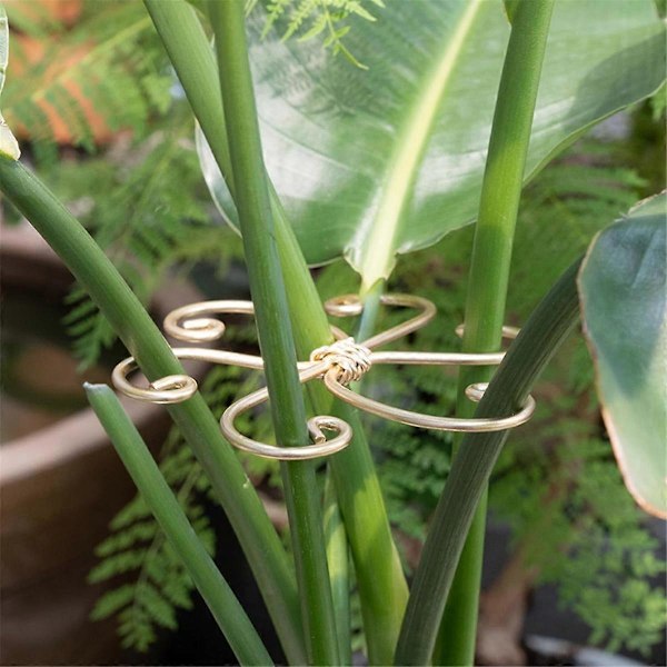 5 st Monstera Växtstödsystem, Krokstamstöd för Hälsosam Tillväxt, Stabilisator för Blad och Sköldpaddsskal