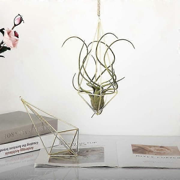 4 pakker luftplante hengende holder himmeli dekor geometrisk planter