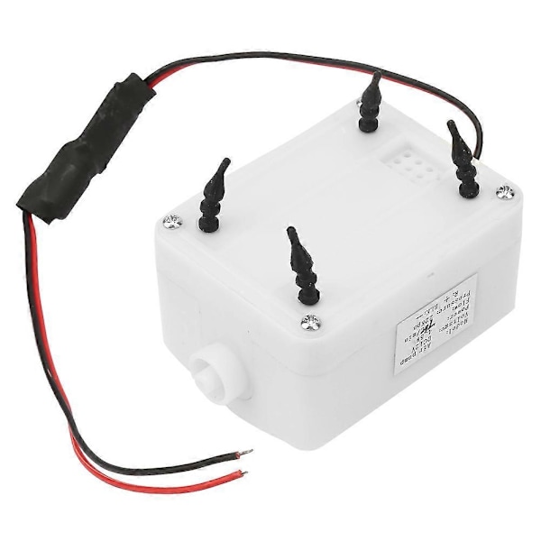 DC 12V 4.5W Tryckluftpump 22Kpa Elektrisk Uppblåsbar Luftpump 7.5L/min för Ozongenerator