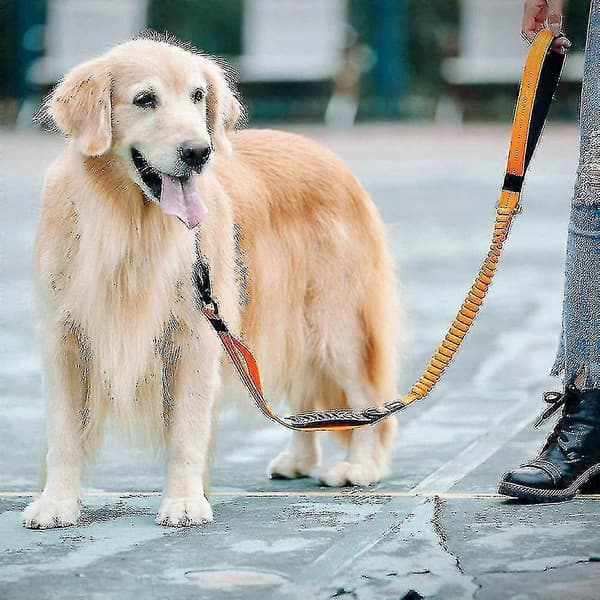 Reflekterende hundetræningssnor til store hunde op til 40 kg