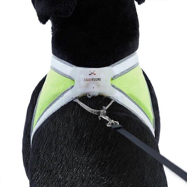 Noxgear Lighthound 360 Asteen Näkyvyyden Monivärinen Heijastava Led-koiranvaljas