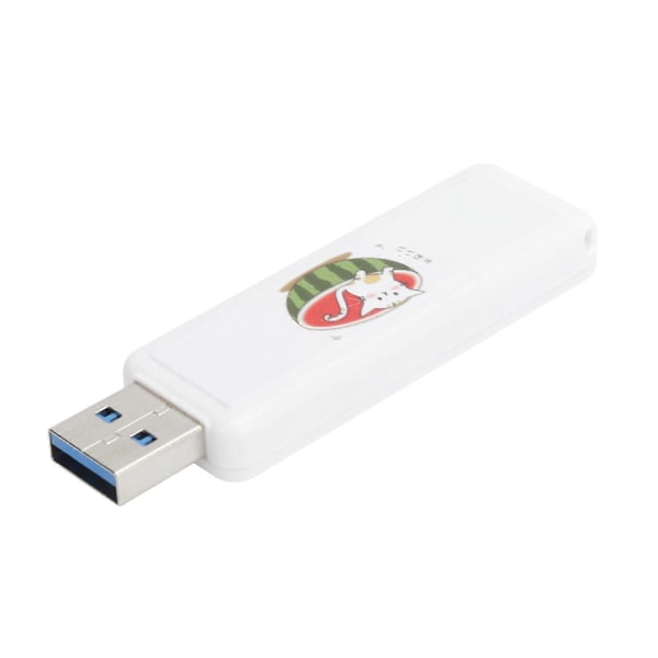 U Disk USB2.0 PushPull Bil Minnepenn Firmagave Datatilbehør (Vannmelon Katt 16GB)