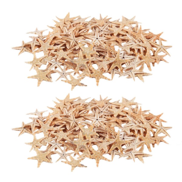 Small Starfish Star Sea Shell Beach Craft 0,4 tommer-1,2 tommer 180 stk.