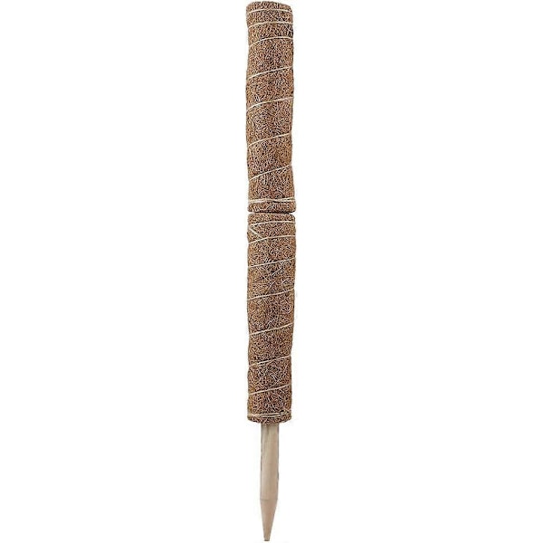 WJTG 2-pack Kokosfiber Totempåle, Växt Kokos Moss Pinne Växtstöd Stake för Klättrande Inomhusväxter Stöd Förlängning, KlätterväxterJ