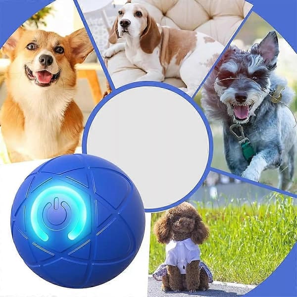 Värisevä pallolelu koirille, tärisevä koiranpallo, värisevä pallo koirille Blue
