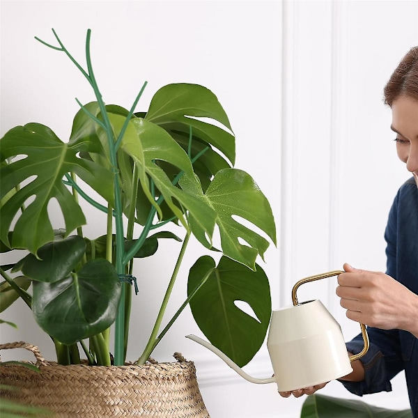 Monstera Växtstöd, Växtstöd Pinnar för Trädgård, Höga Växtpinnar i Plast för Tomatträd, Grenar