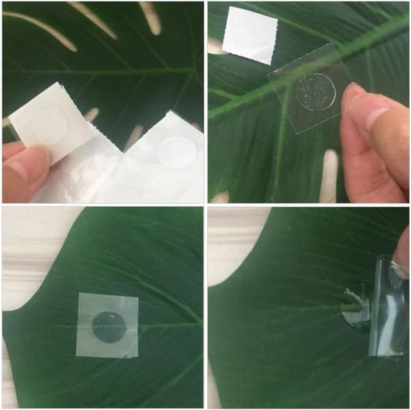 12 st gröna Monstera-bladformade palmbladstabletter i plast