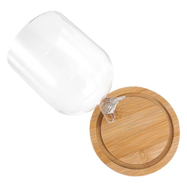 Glas Cloche med træbase, elegant displaymulighed til blomster og håndværk