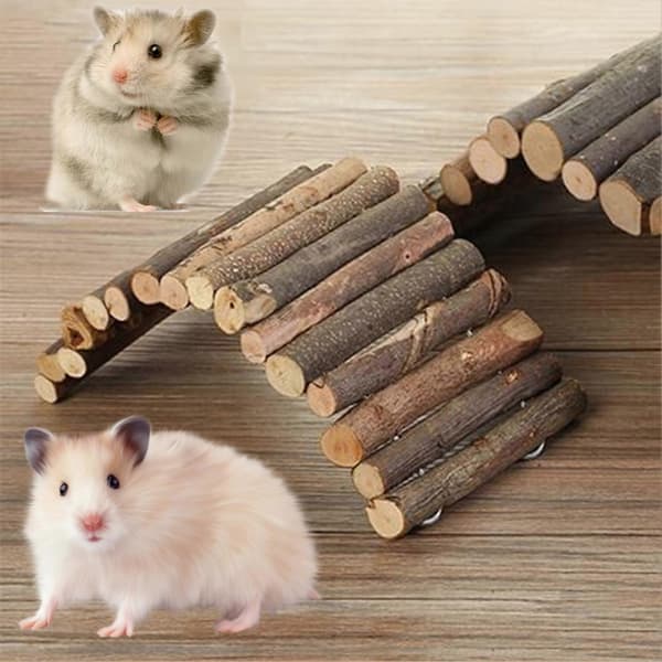 Hamsterstege Valvbro Stabil Trä Multifunktionell Djurskydd Burleksak för Papegoja