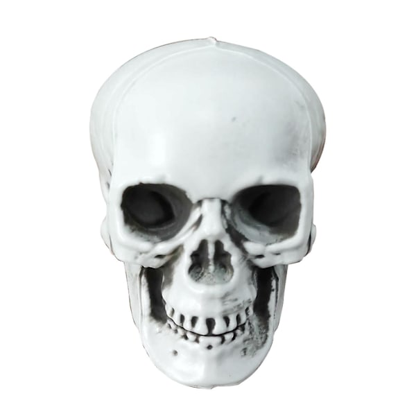 Sæsonbestemt & Julepynt 3 stk. Halloween Skeletter Plast Realistisk Falsk Simulation Menneskekranie Hoved-knogle Model Halloween Rekvisit Realistisk Mini Ske
