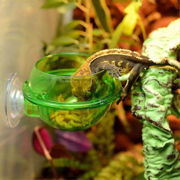 Automatisk Matare 4st Akvarium Konmatare Röda Maskar Akvarium Växt Räkfoder Fiskmatningskoppar