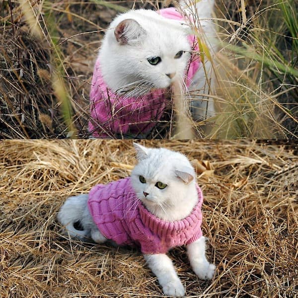 Kabelstickad polotröja för små hundar och katter (Rosa, Medium)