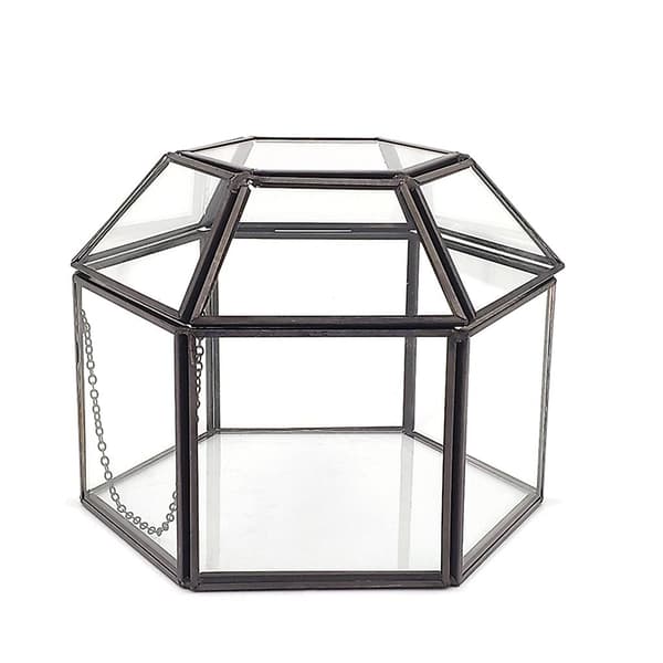 Bordplade Display Til Vitrine Med Klar Glaspanel Hængslet Låg Terrarium Boks Til