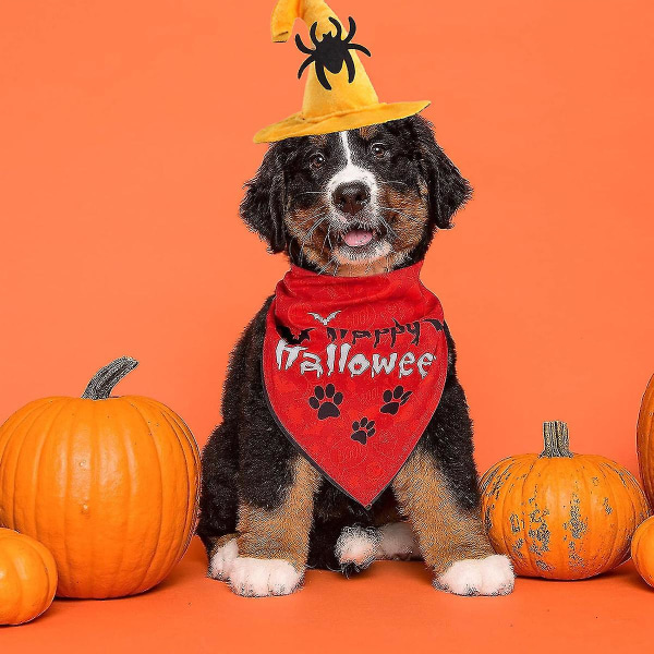 1 Pet Halloween Hat Creative Pet Spooky Supplies Cat Halloween Hat Spindelhuvudbonad Hund Spooky Headwear