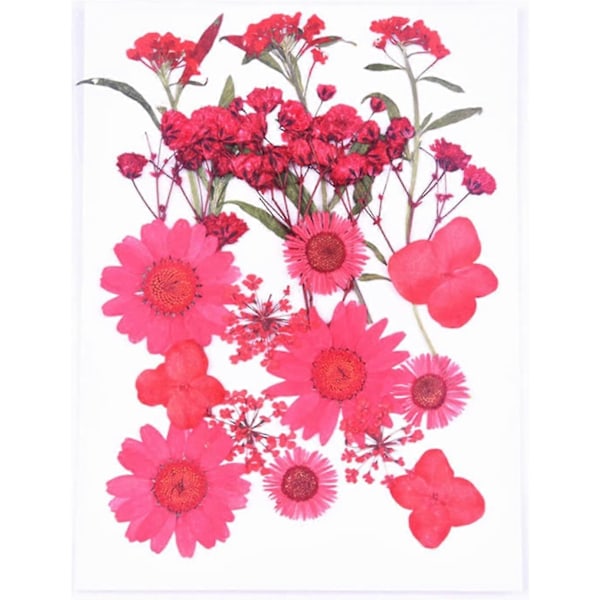 Tørket blomstermaterialpose preget DIY mobiltelefondeksel fotorammedekorasjon