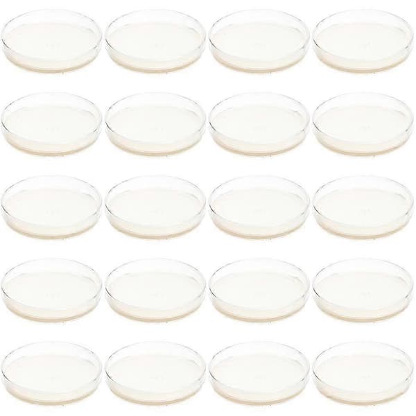 20 st Petriskålar med Agar Förhällda Agarplattor Vetenskapliga Experimentmaterial