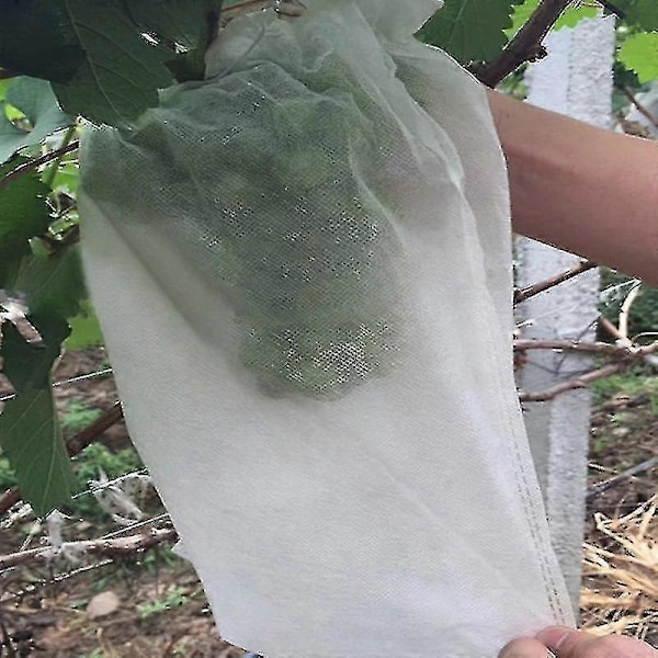 Lagdelt Tørrenet til Urter Hængende Kurv Foldbar Tørrestativ Urtetørrenet Tørrebægre Net til Blomster Knopper Planter Organizer