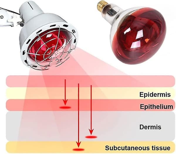 Fysioterapia Infrapunalampi 275w Elektromagneettinen Aaltohoitolaite 220v Sähköuuni Punainen Lamppu