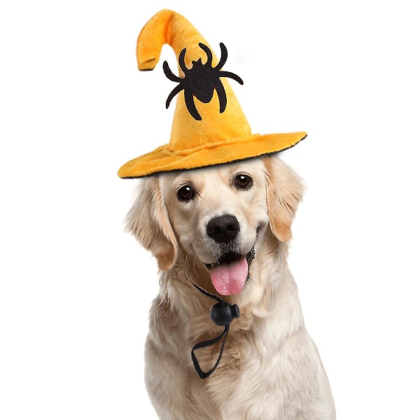 1 Pet Halloween Hat Creative Pet Spooky Supplies Cat Halloween Hat Spindelhuvudbonad Hund Spooky Headwear